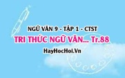 Soạn bài Tri thức Ngữ Văn trang 88 lớp 9 tập 1 Chân trời sáng tạo